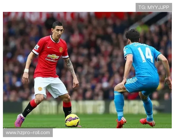 阿劳霍战术适配性 阿劳霍战术适配性