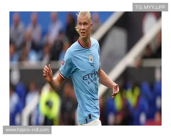 哈兰德射门分布与转化率解析：是否接近完美终结模型