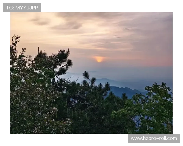 山东泰山争冠前景备受关注，能否重回巅峰需后续比赛检验